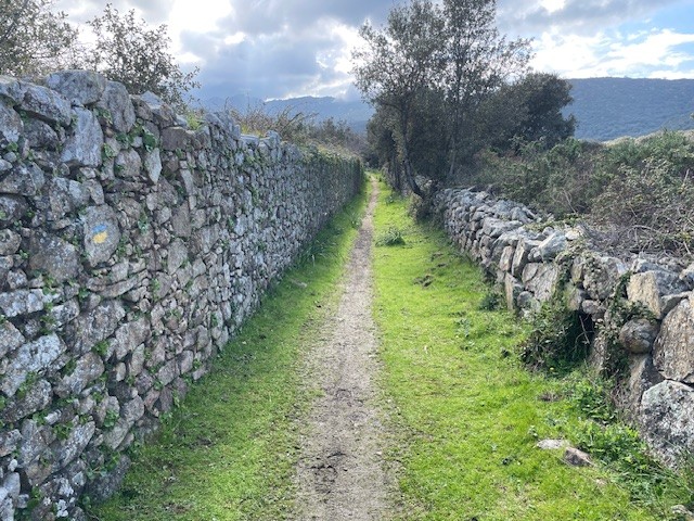 Le mur de gauche d’une hauteur de deux mètres environ sépare le sentier d’un ancien moulin , le mur de droite de pâturages pour les troupeaux.
